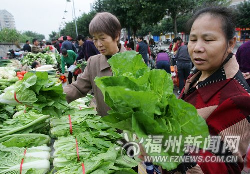 民生 - 新闻热词 多米体育- 东南网(图1)