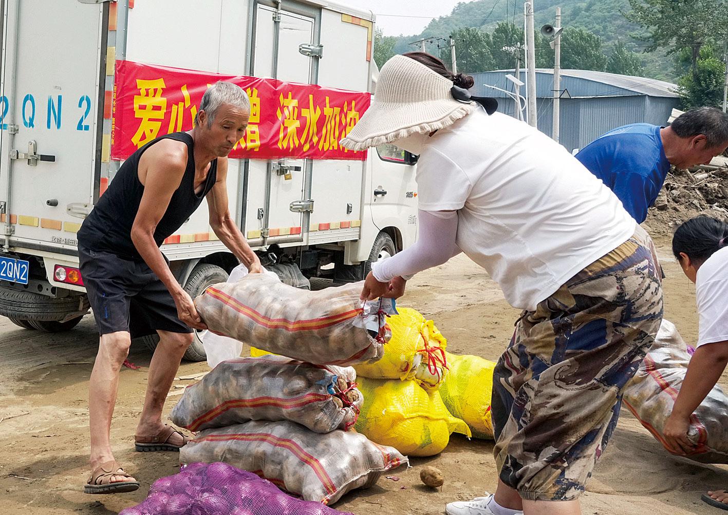 普洱镇沅：2023年政府采购助力营商环境稳步突破多米体育