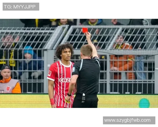 多特蒙德与弗赖堡的激烈对决回顾及精彩瞬间分析